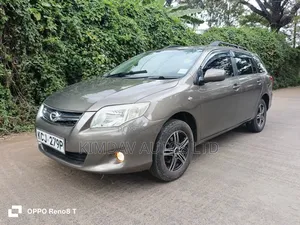 Toyota Corolla Fielder 2009 Green