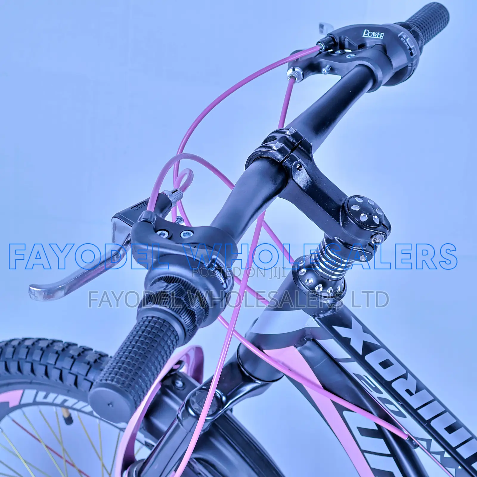 Unirox 20" Mountain Bike With Disc Brakes
