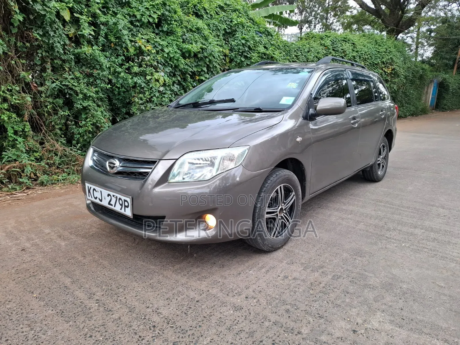 Toyota Corolla Fielder 2010 Silver