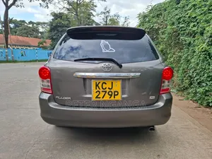 Toyota Corolla Fielder 2010 Silver