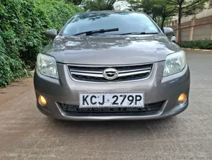 Toyota Corolla Fielder 2010 Brown
