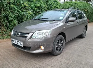 Toyota Corolla Fielder 2010 Brown