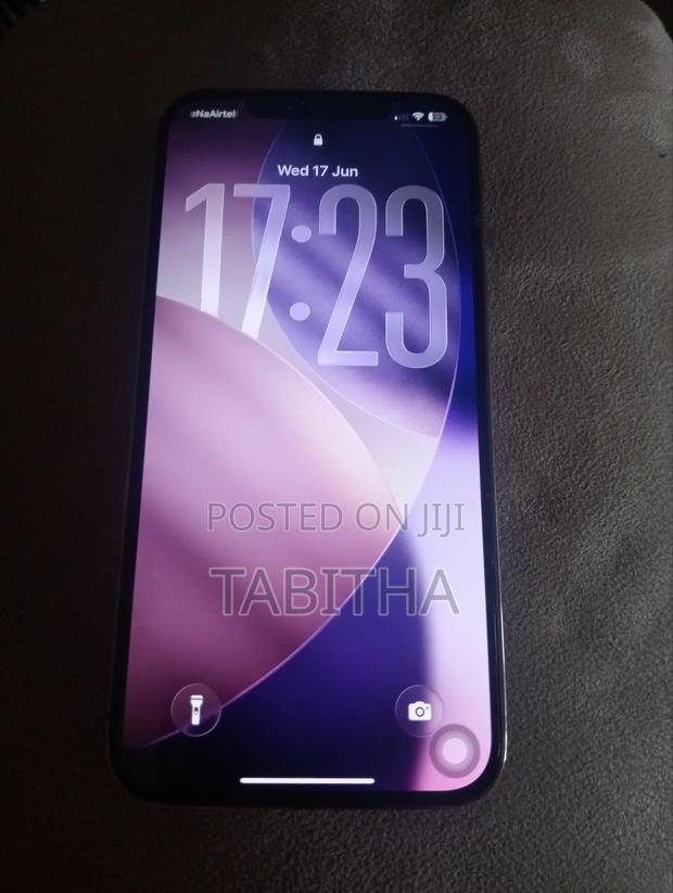 Apple iPhone 12 Pro Max 256 GB