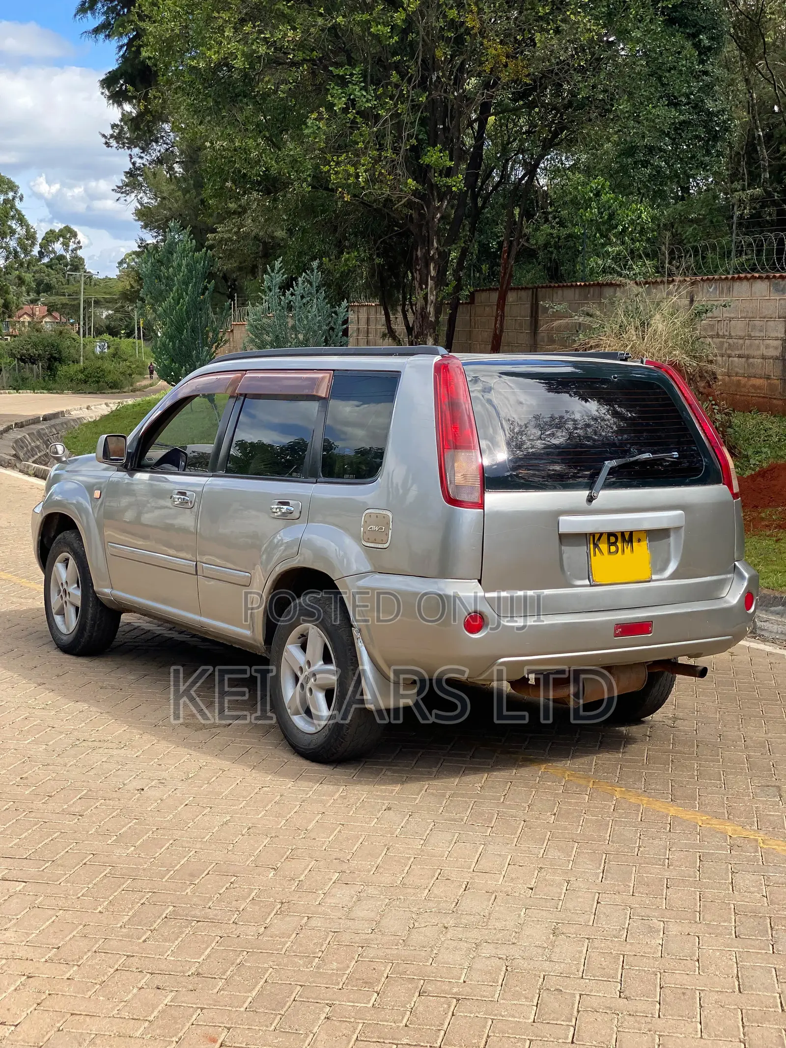 Nissan X-Trail 2.0 2003 Brown