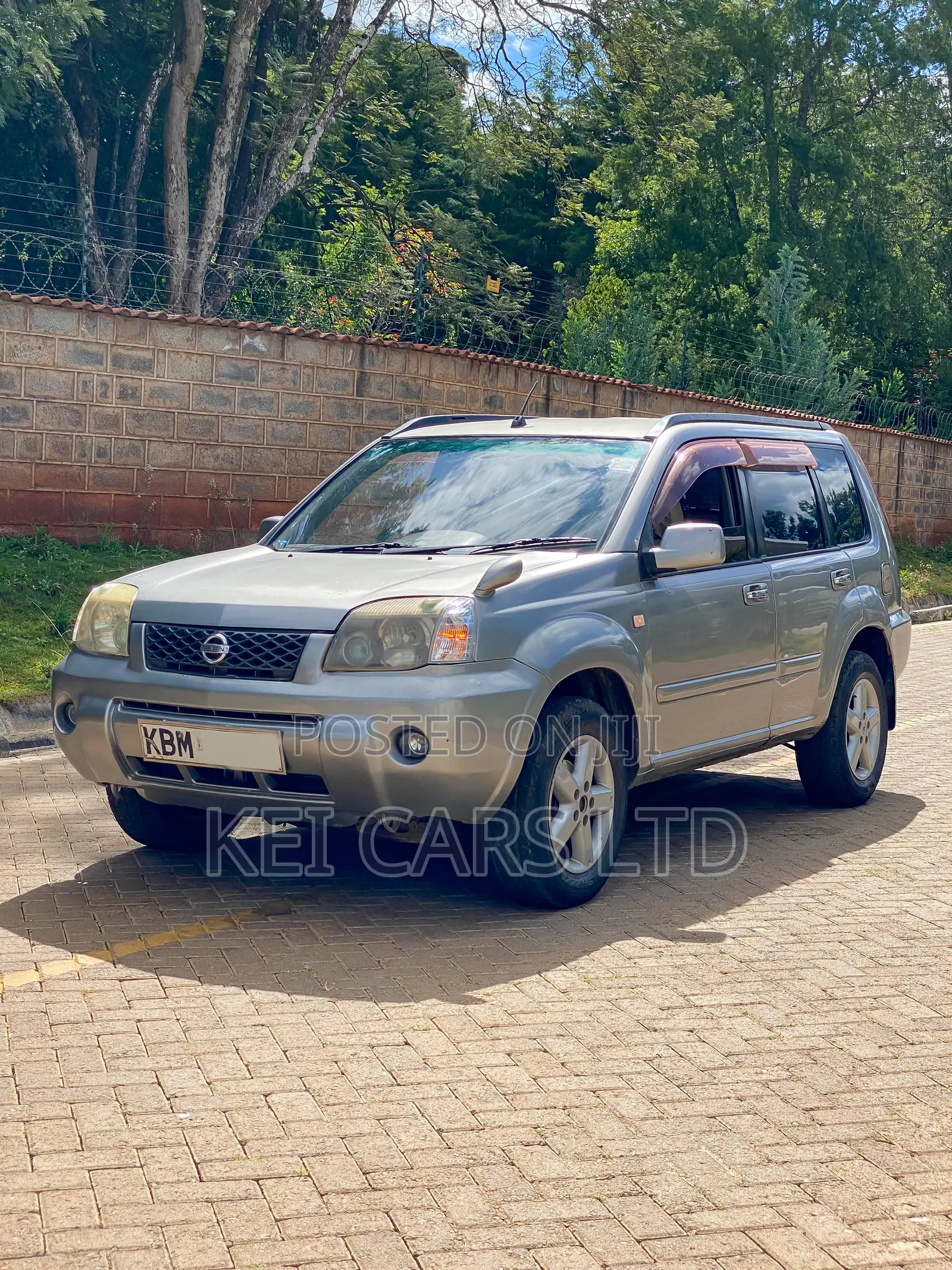 Nissan X-Trail 2.0 2003 Brown
