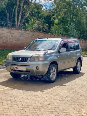 Nissan X-Trail 2.0 2003 Brown