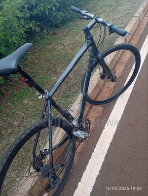Hybrid Bike