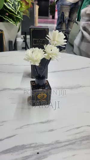 Premium Ultrasonic Aroma Diffuser Cool Mist Humidifier