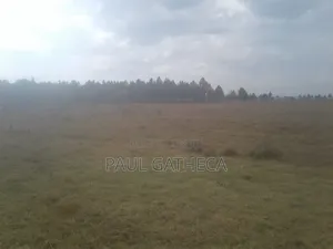Agricultural Land for Sale
