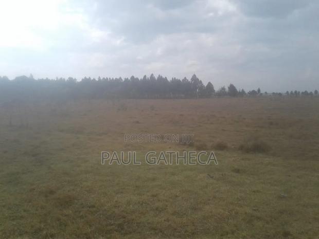 Agricultural Land for Sale
