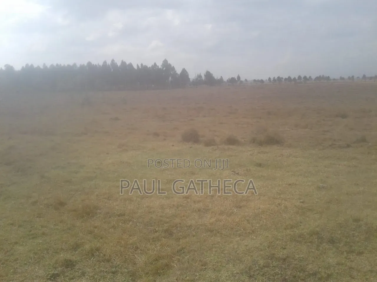 Agricultural Land for Sale