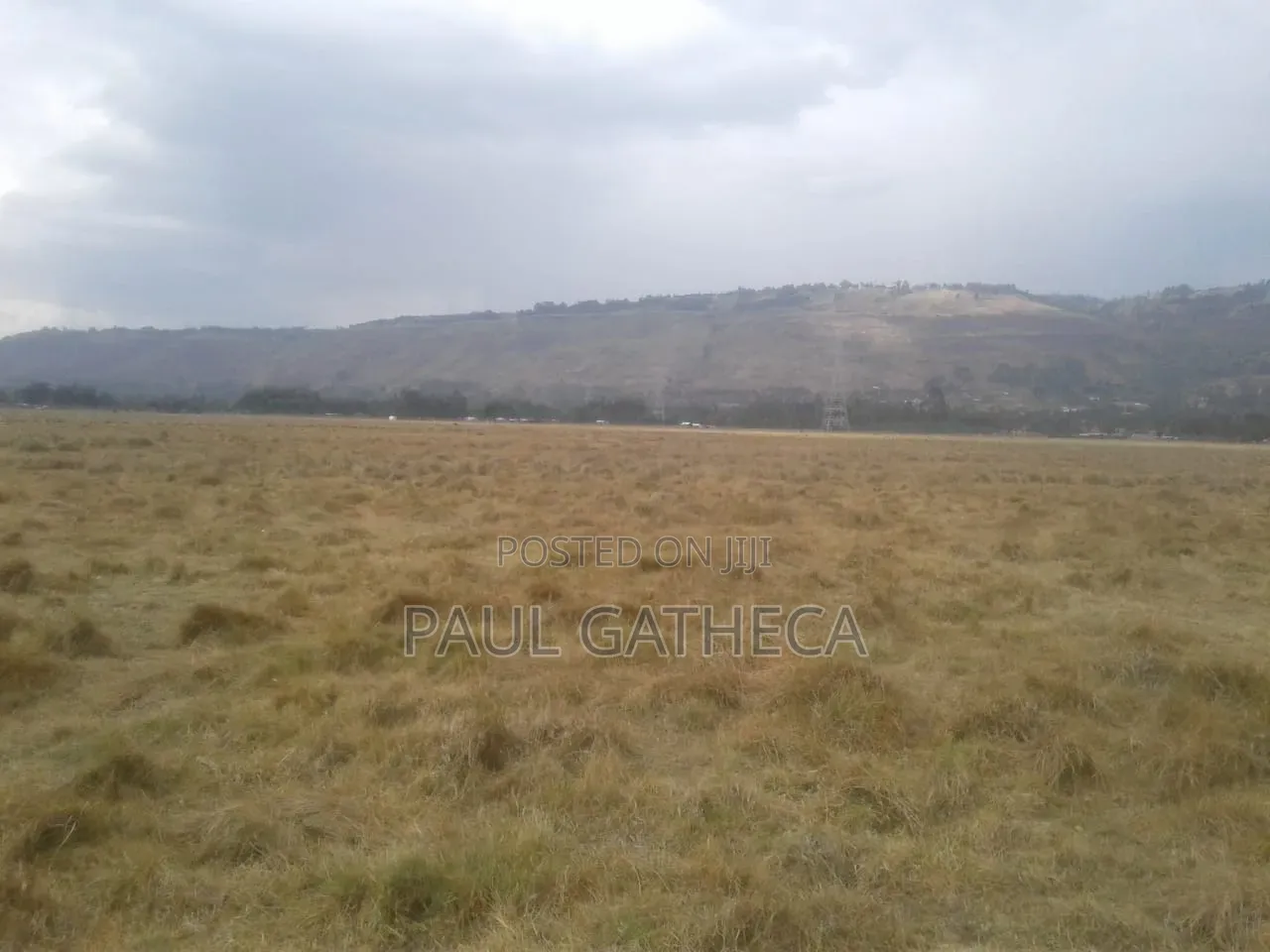 Agricultural Land for Sale
