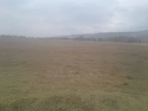 Agricultural Land for Sale