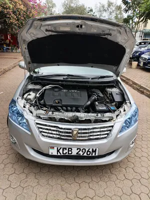 Toyota Premio 2009 Silver