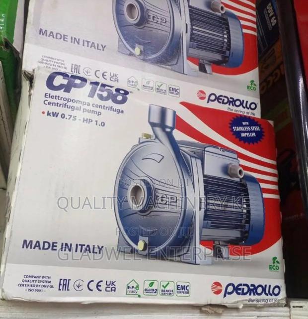 Professional Original Pedrollo Water Pump Booster Pump 1hp at