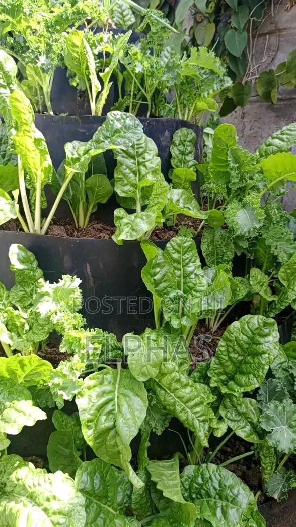 Vertical Garden - thumbnail 5