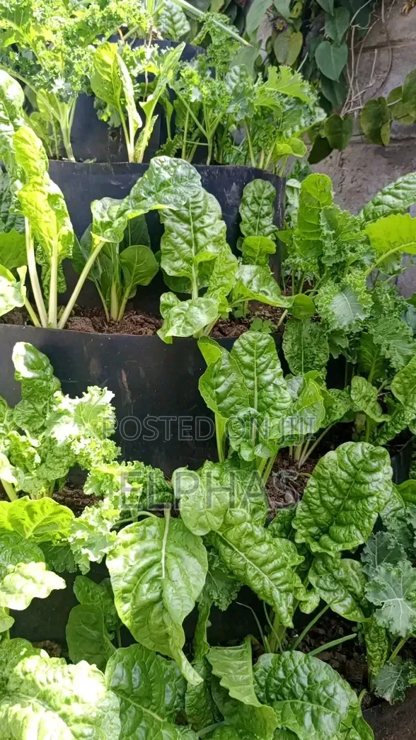Vertical Garden