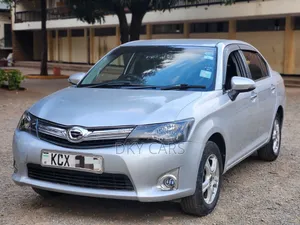 Toyota Axio 2013