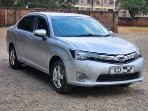 Toyota Axio 2013