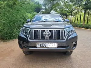 Toyota Land Cruiser Prado 2010 Gray