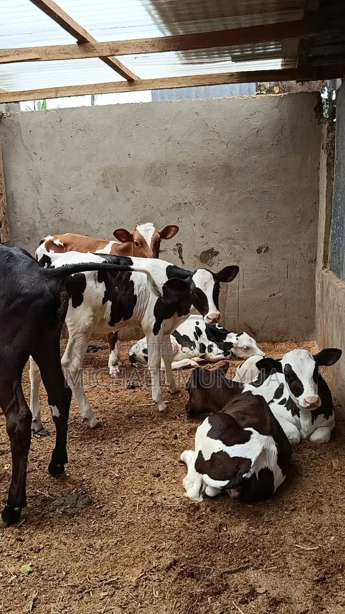 Super Pedigrees
