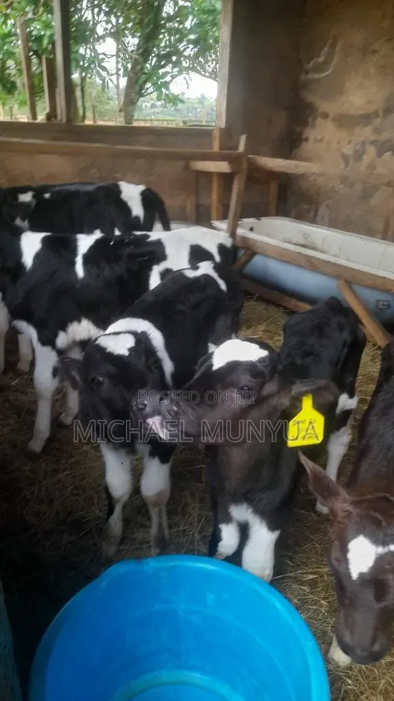 Super Pedigrees