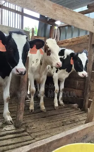 Super Pedigrees