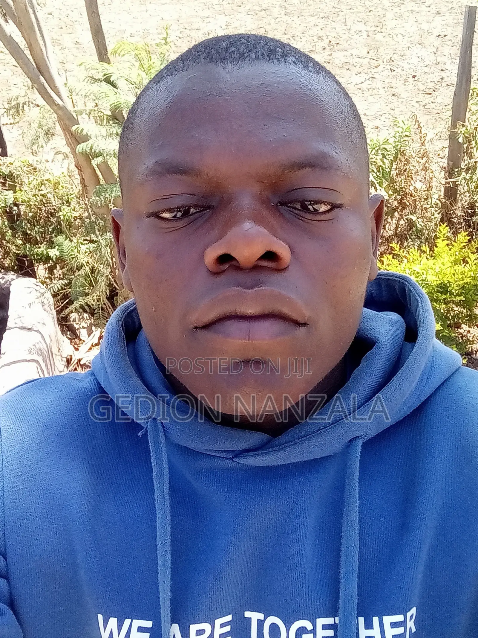 Sales Representative