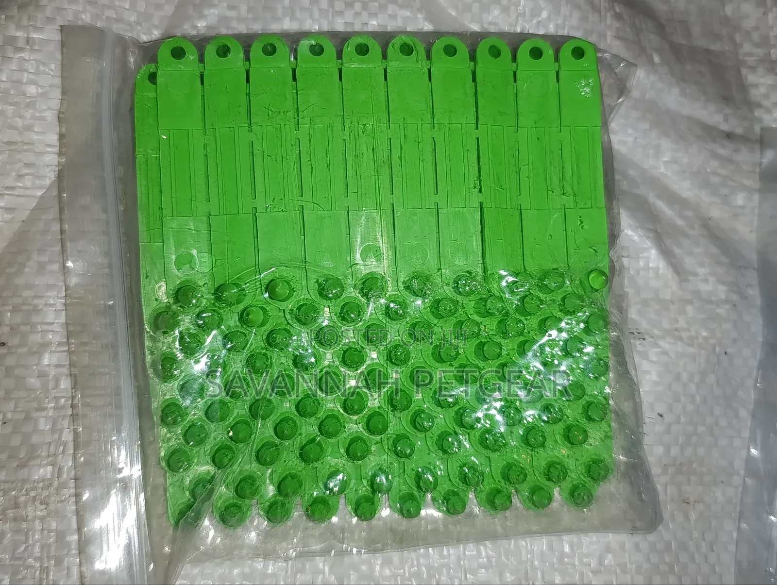 Green Plastic Numbered Livestock Ear Tags For Pigs