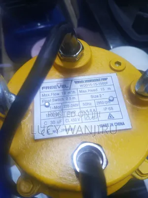4.8 a Sewage Submersible Pump 2 " Diameter