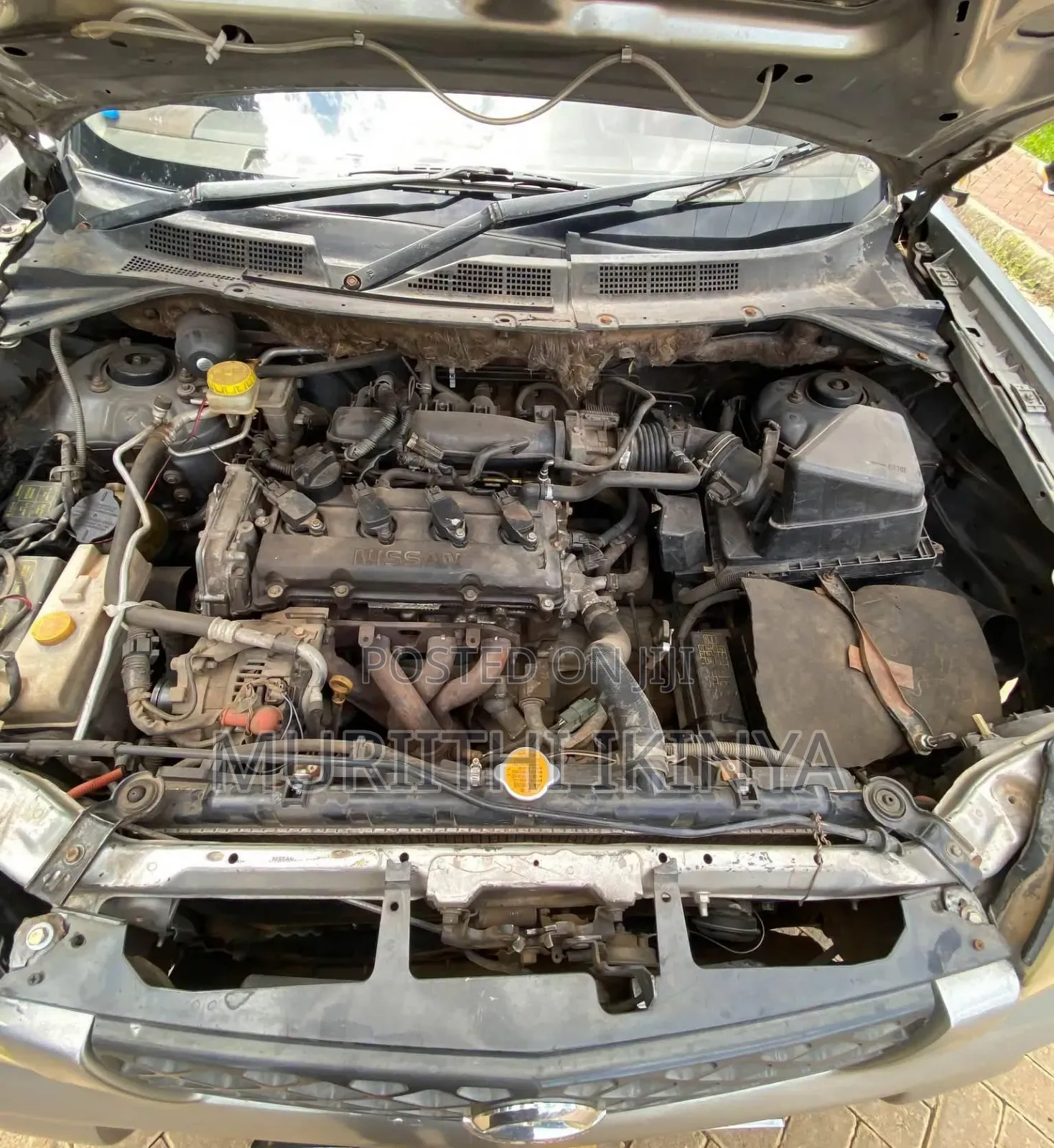 Nissan X-Trail 2003 Gray
