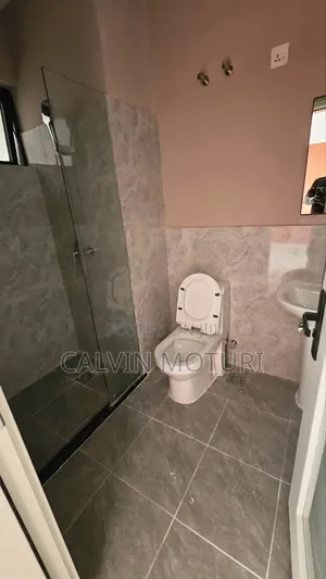 1bdrm Bedsitter in Junction Mall, Valley Arcade for rent
