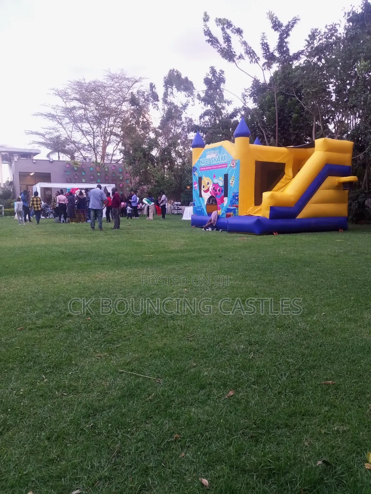 Babyshark Bouncing Castles for Hire