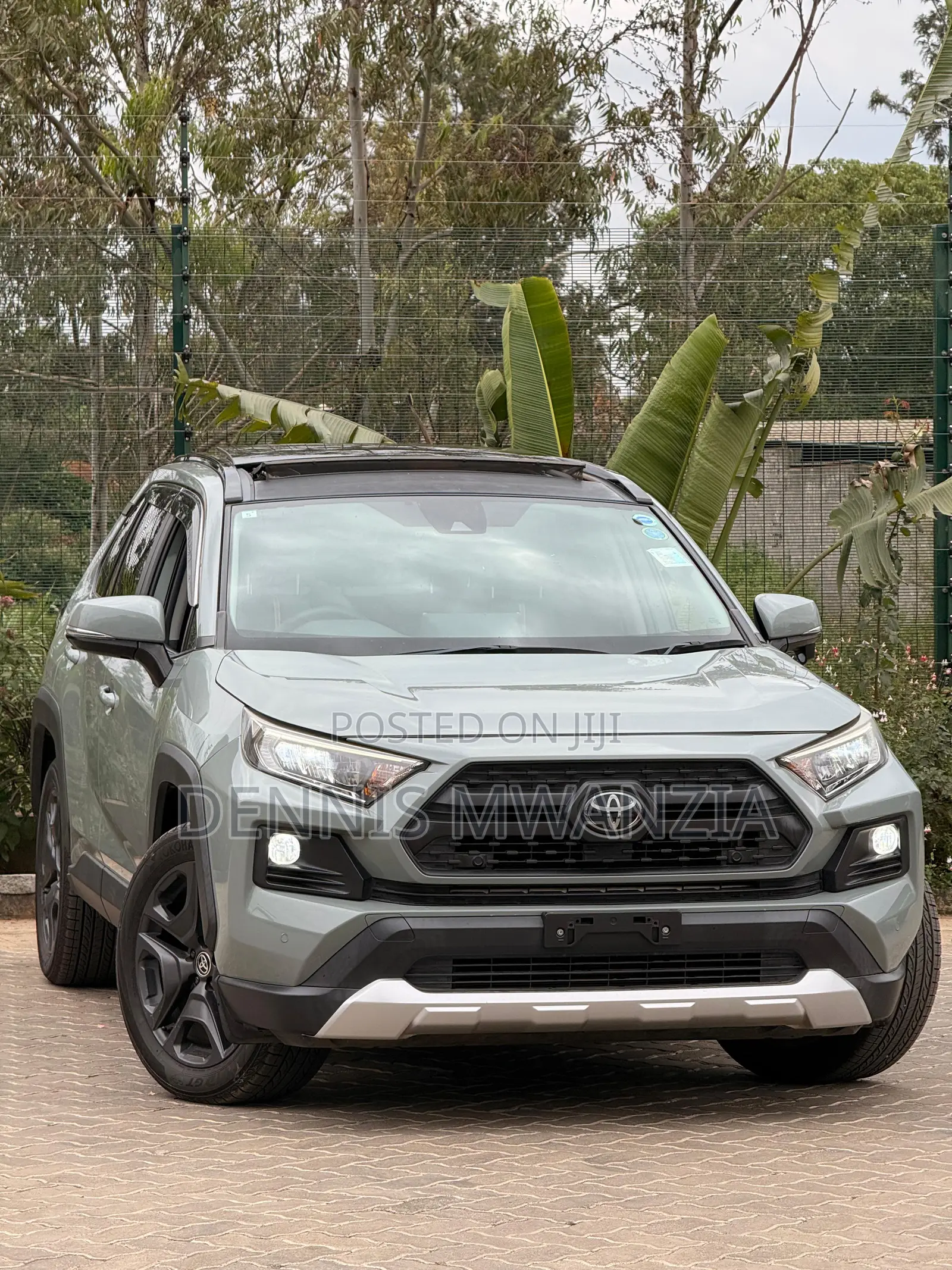 Toyota RAV4 Adventure 2019 Green