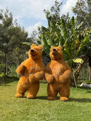 Inflatable Bears/Mascots for Hire