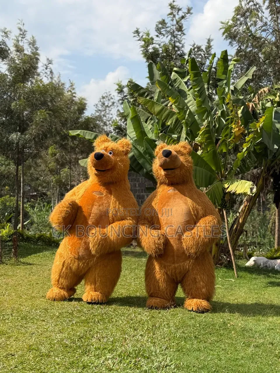Inflatable Bears/Mascots for Hire