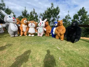 Inflatable Bears/Mascots for Hire