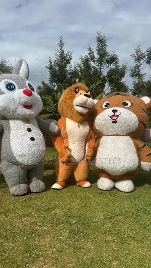 Inflatable Bears/Mascots for Hire
