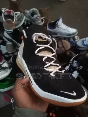 Nike Lebron 18