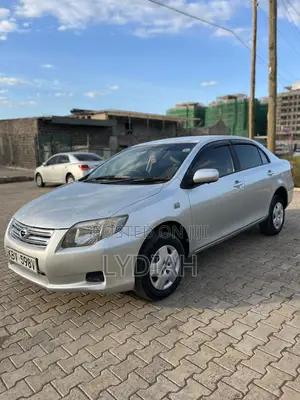 Toyota Axio 2007 Silver