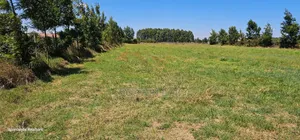 Plots for Sale in Racecourse Eldoret.