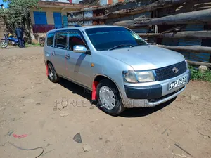 Toyota Probox 2010 Silver