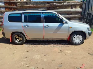 Toyota Probox 2010 Silver