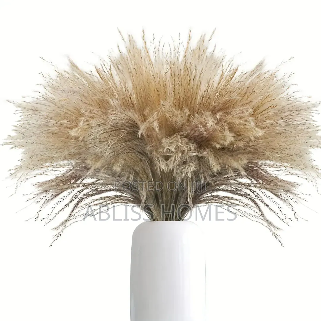 Natural Dried Reed Decorative Mini Pampas Grass