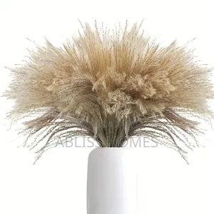 Natural Dried Reed Decorative Mini Pampas Grass