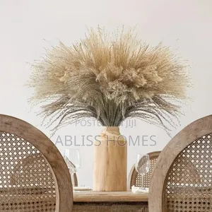 Natural Dried Reed Decorative Mini Pampas Grass