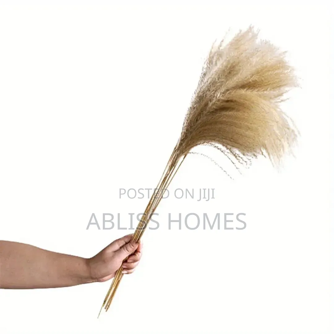 Natural Dried Reed Decorative Mini Pampas Grass