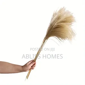 Natural Dried Reed Decorative Mini Pampas Grass