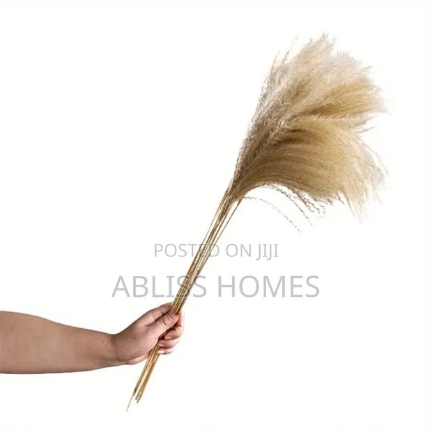Natural Dried Reed Decorative Mini Pampas Grass - thumbnail 4