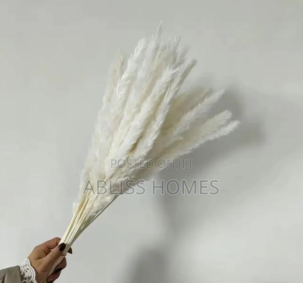 Dried Mini Pampas Grass
